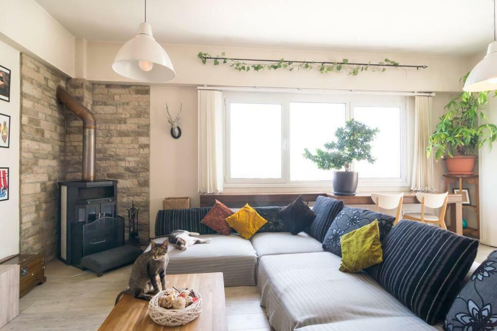 니코시아 Vas' Penthouse 아파트 외부 사진