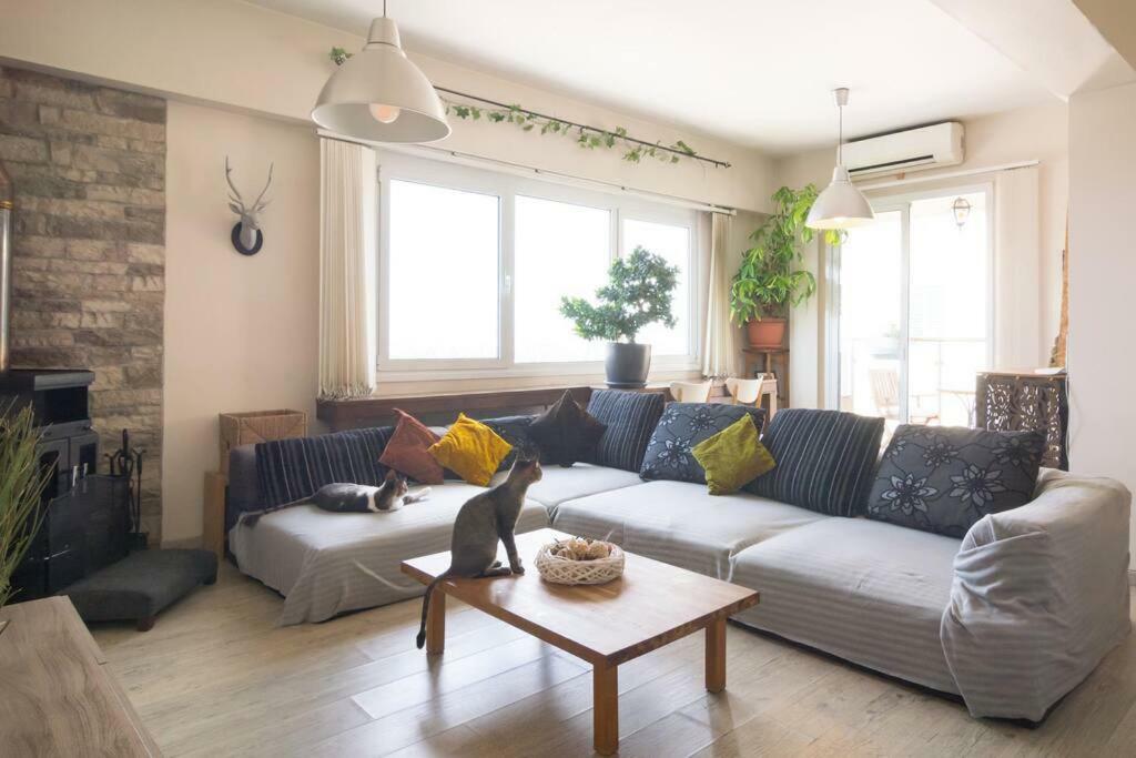 니코시아 Vas' Penthouse 아파트 외부 사진