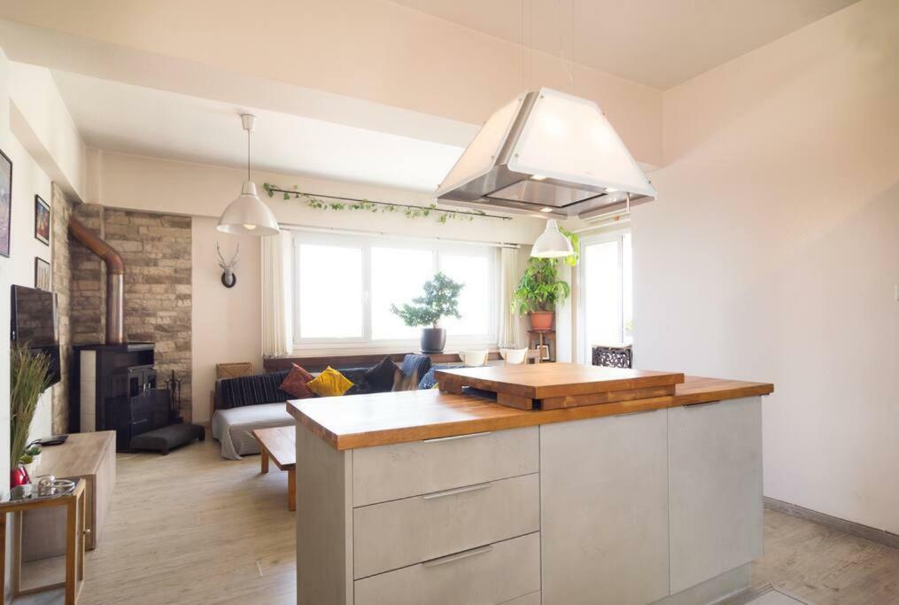 니코시아 Vas' Penthouse 아파트 외부 사진